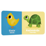 Mini Mini Kitaplar Serisi (Özel Kutusunda 6 Kitap)