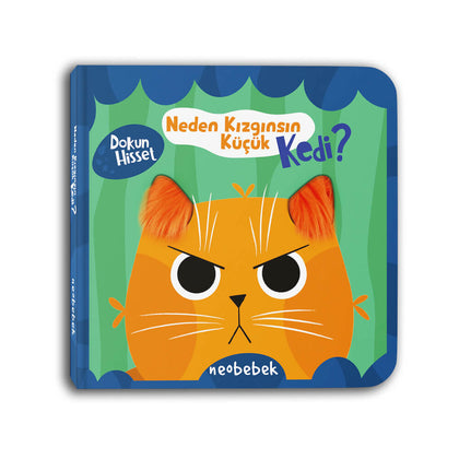 Neden Kızgınsın Küçük Kedi? (Aynalı Dokun Hisset Kitap)